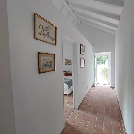 Apartment Azenha Da Duquesa