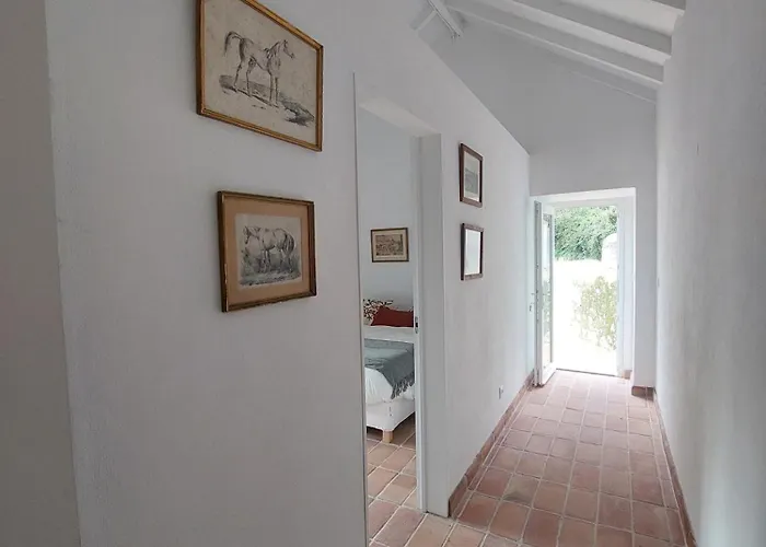 Appartement Azenha Da Duquesa