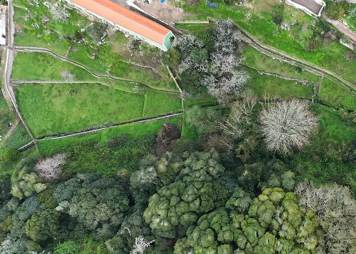 Azenha Da Duquesa Appartement